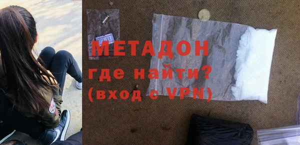 сатива Новозыбков